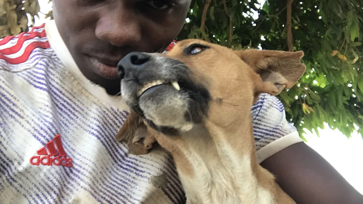 Dog Friendly